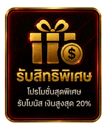 รับสิทธิพิเศษ